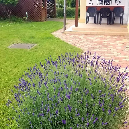 Villa Rose Veľký Meder