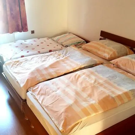 Rose Veľký Meder
