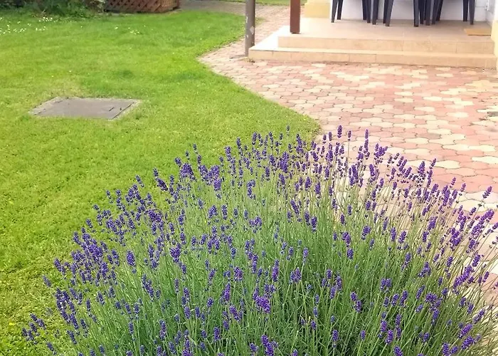 וילה Rose Veľký Meder